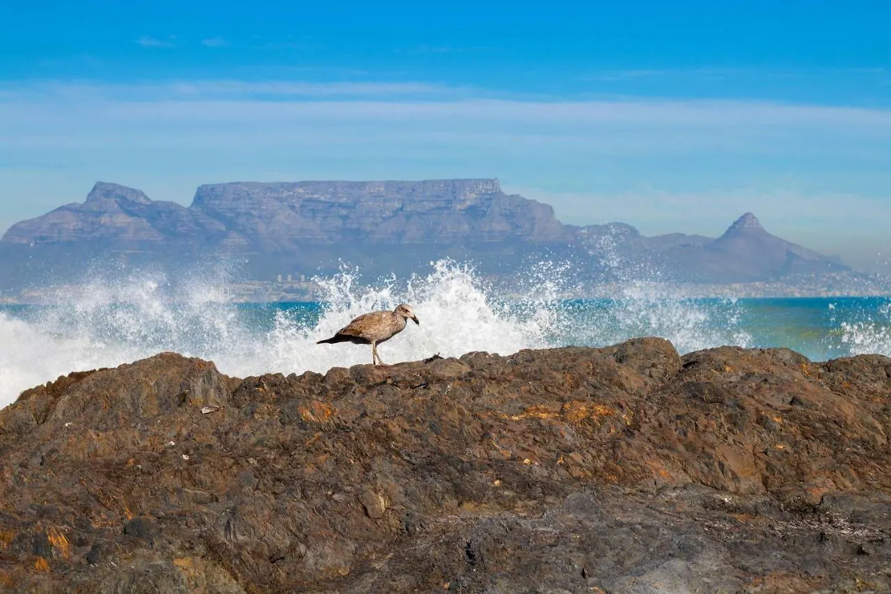 Knowles Big Bay Condo Cape Town South Africa